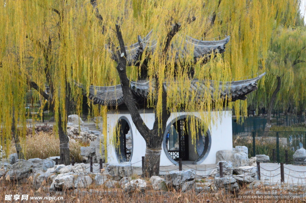 园林风景