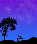 星空