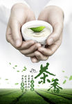 工地 建筑 茶水亭 禅茶一味