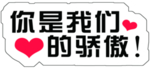 你是我们的骄傲