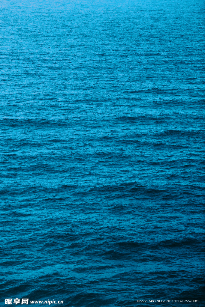 海水