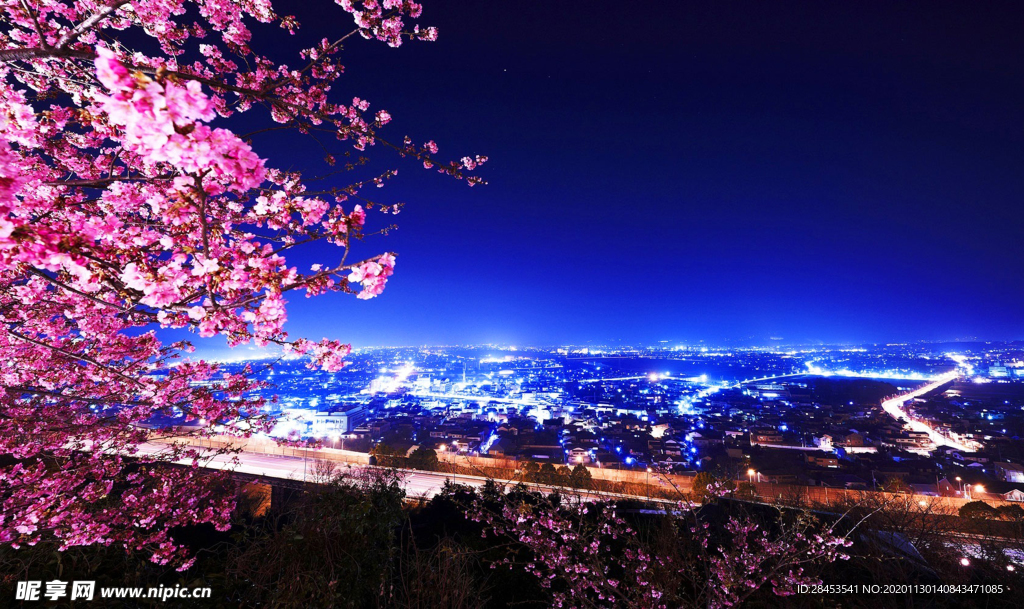 城市