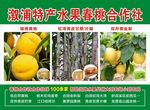 特产水果合作社