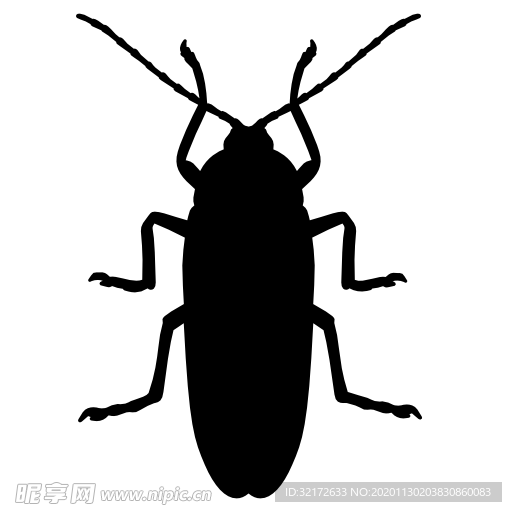 蟑螂剪影