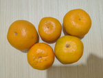 橘子
