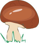 可爱的小蘑菇  插画