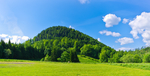 高山树林风景图片