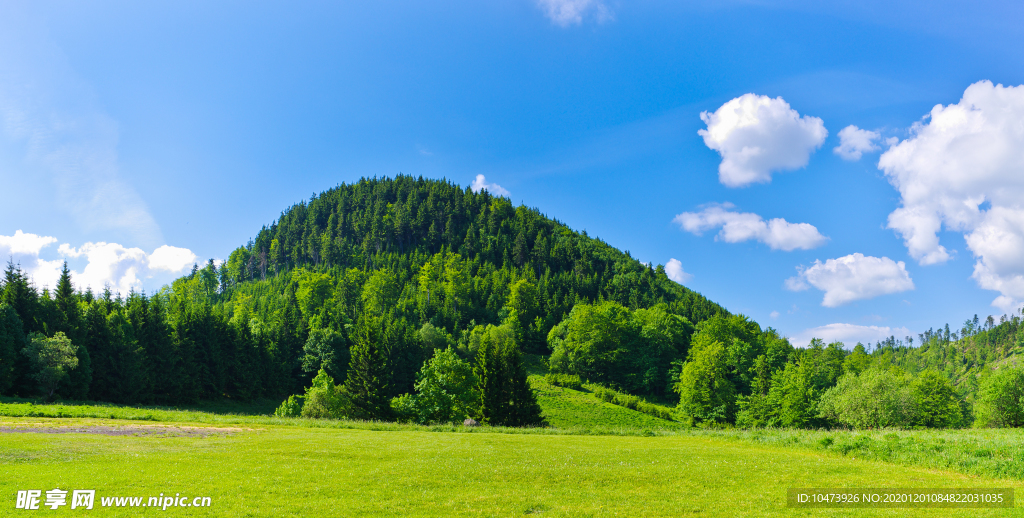 高山树林风景图片