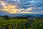 山村原野f风景图片
