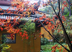 仿古园林建筑图片
