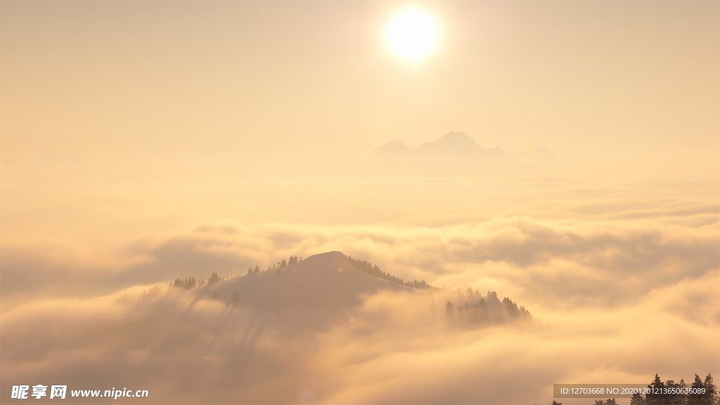 风景