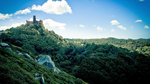 风景