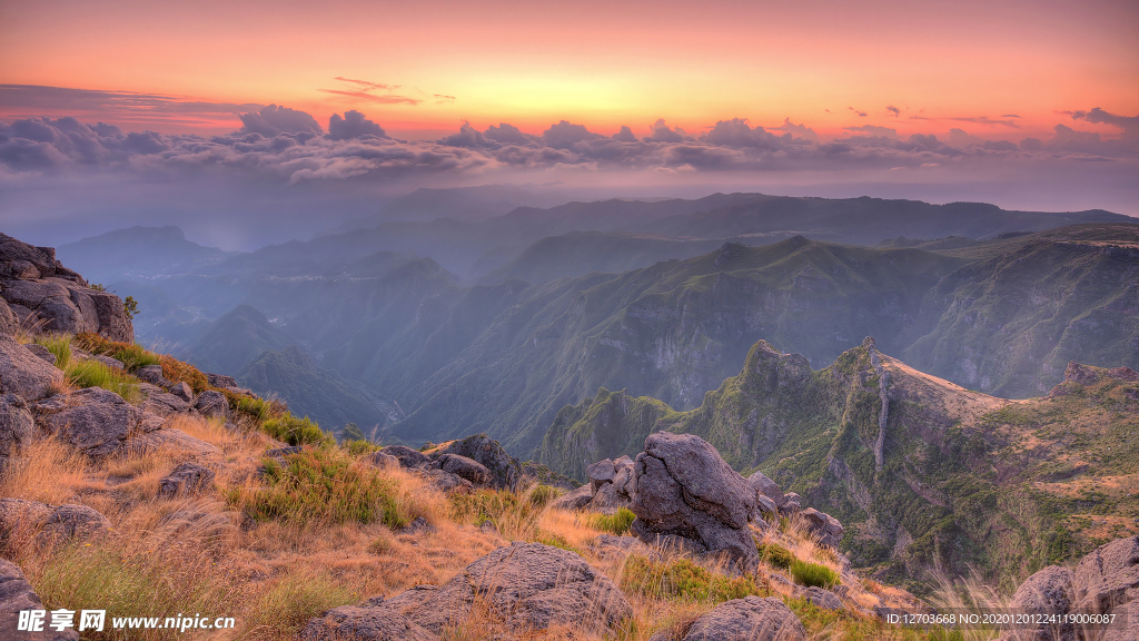 风景