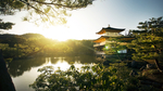 风景