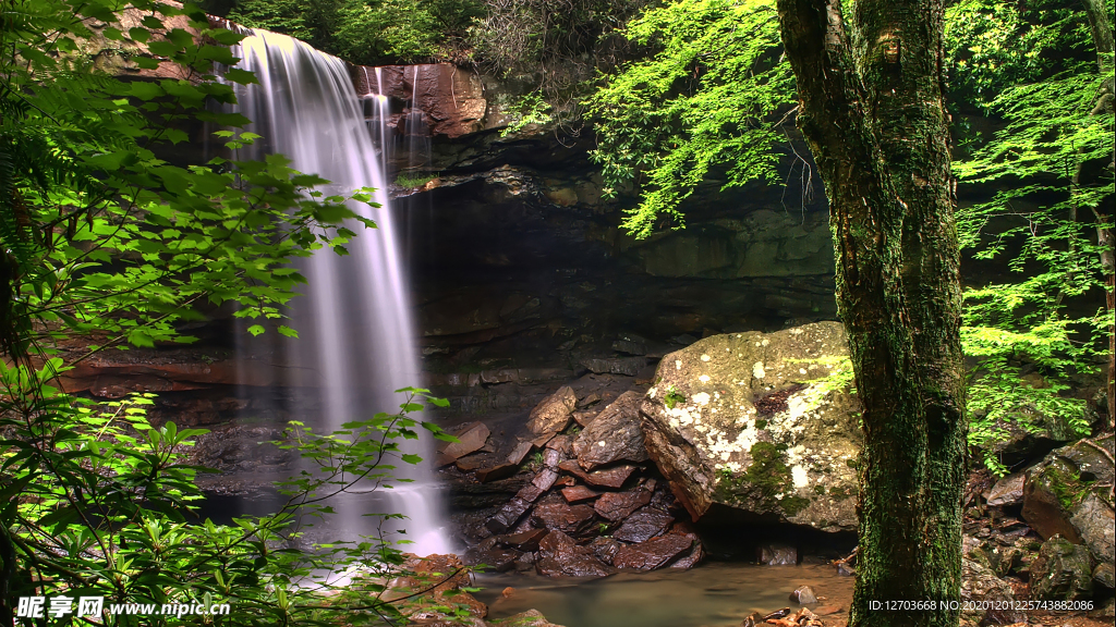 风景