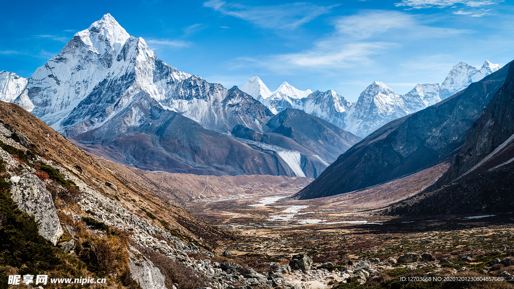 风景