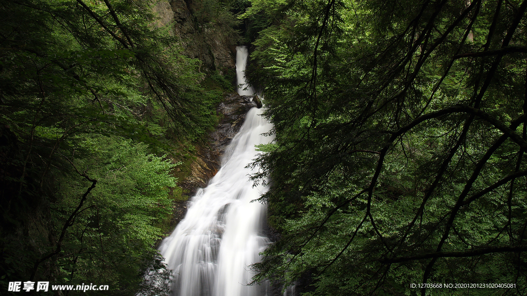 风景