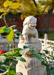 北京 紫禁城 故宫博物馆