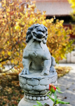 北京 紫禁城 故宫博物馆