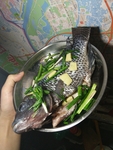 海鱼