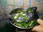 海鱼