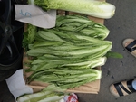 油麦菜