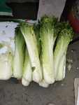 白菜