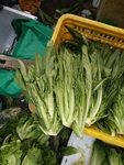 油麦菜