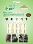 植物养发