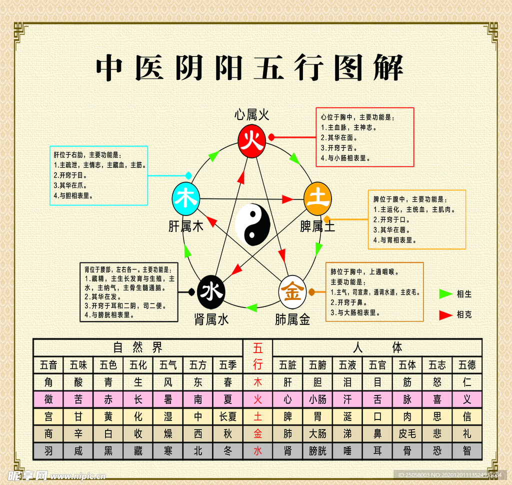 中医阴阳五行图解