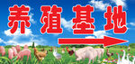 养殖基地
