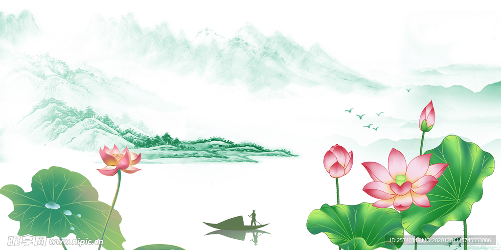 荷花