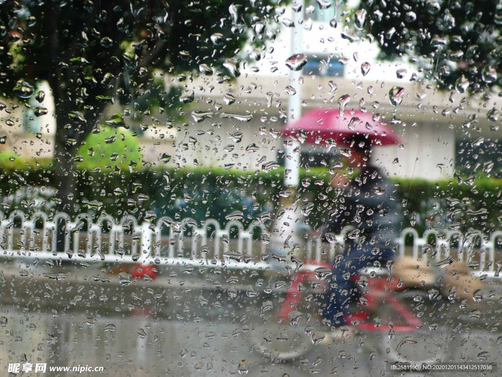 雨伞