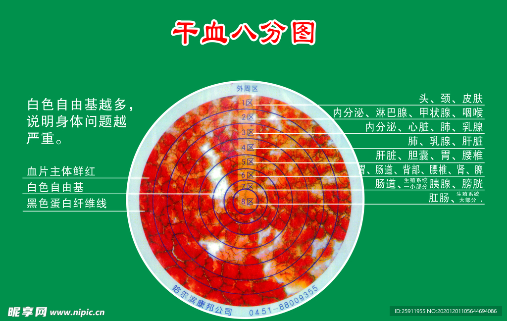 干血八分图版