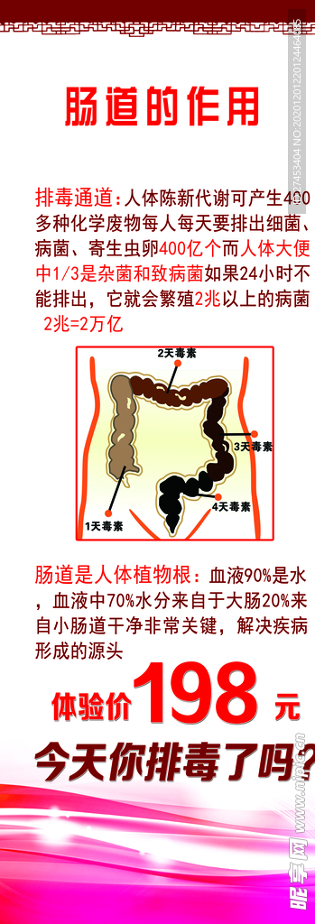 肠道的作用展架