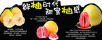 蜜柚柚子