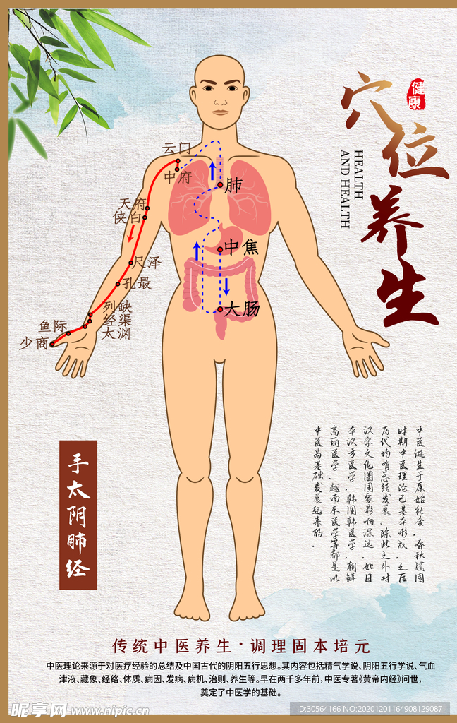 穴位养生中医复古宣传海报素材