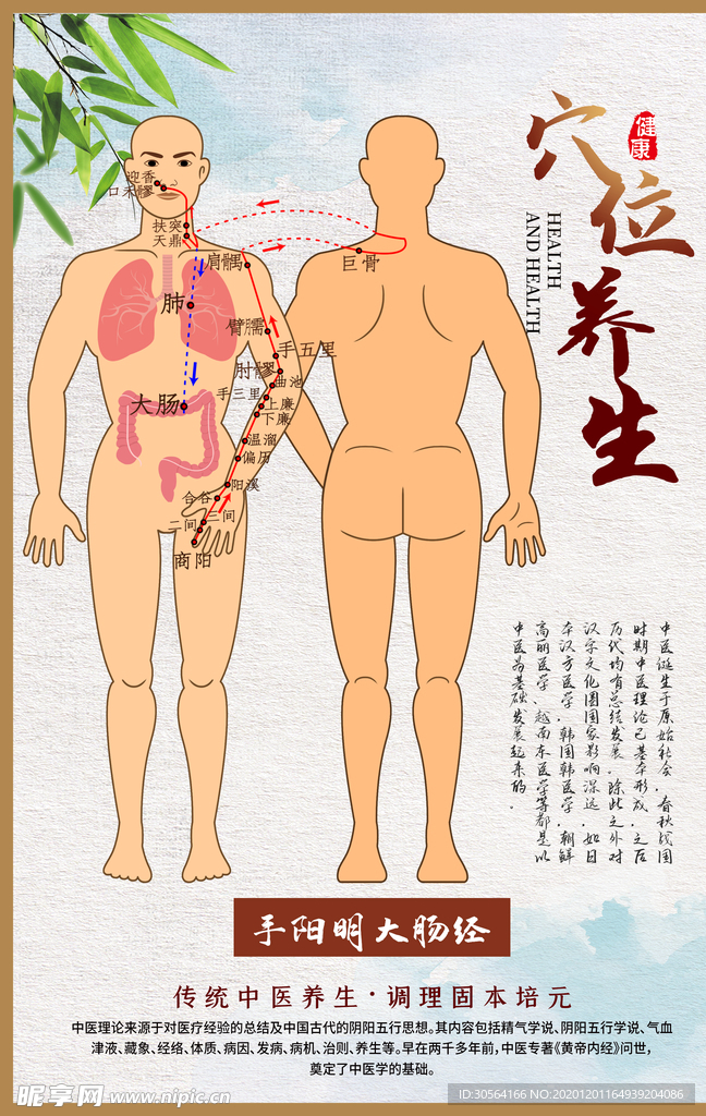 穴位养生中医复古宣传海报素材