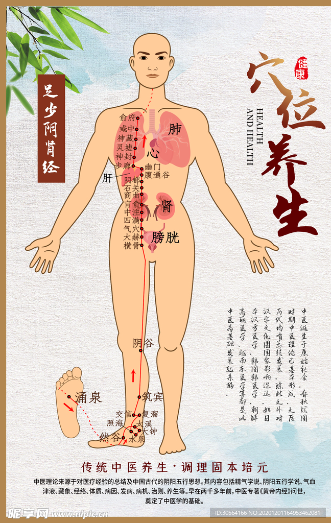 穴位养生中医复古宣传海报素材