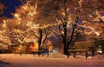 晚上公园雪景