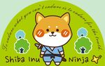 狗 上贰拾陆