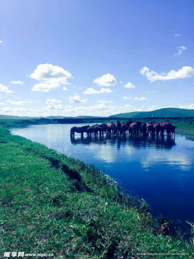 草原风景