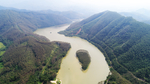 茶山茶树
