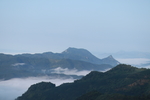 茶山云雾