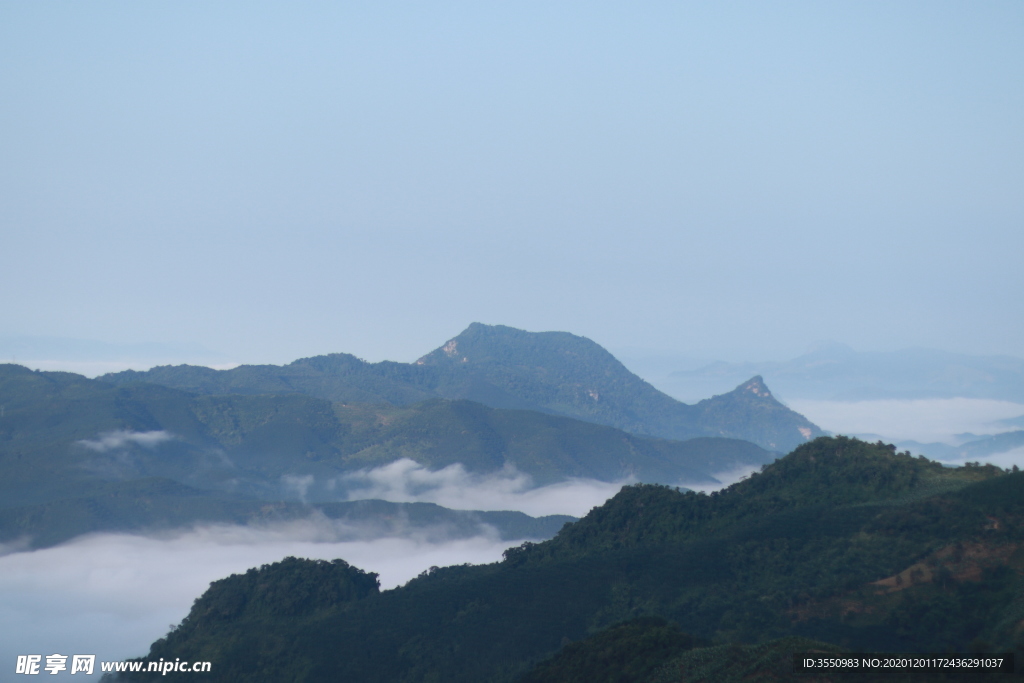 茶山云雾