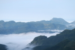 茶山云雾