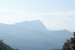 茶山