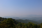 茶山
