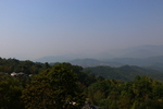 茶山
