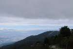 茶山
